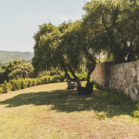 Bed & Breakfast Maria Carmela Intense Living Olbia